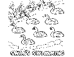 7 Swans-A-Swimming