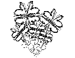 Scribble Flower Heart Bunch Coloring Page