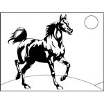 Black-and-White Horse