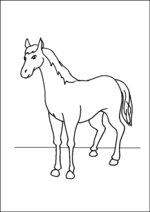 Horse Standing Left