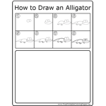 How to Draw Alligator