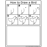 How to Draw Basic Bird