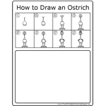 How to Draw Ostrich