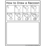 How to Draw Raccoon