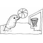 Dolphin Playing Basketball