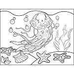 Jellyfish Bubbles