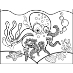 Octopus with Sucker Pads