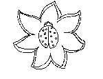 Ladybug and Flower Coloring Page