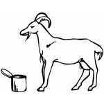 Eating Goat
