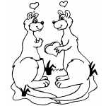 Kangaroos In Love