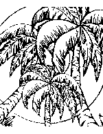 Bahamas Palm Tree Coloring Page
