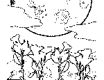 Flowers and Moon Coloring Page
