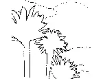Miami Palm Trees Coloring Page