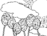 Sunny Roses Coloring Page