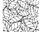Tropical Leaf Pattern Coloring Page