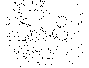 Abstract Paint Splatters Coloring Page