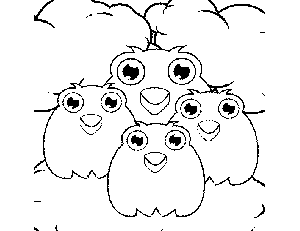4 Owls coloring page