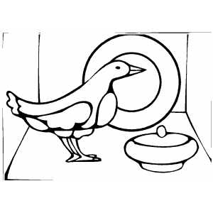 Bird And Plate coloring page