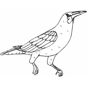 Bird Pointing Top coloring page
