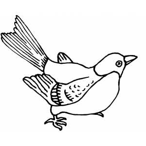 Bird Ready To Fly coloring page