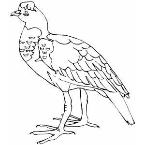 Bird With Funny Cap coloring page