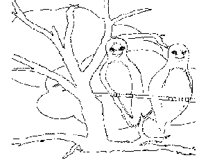 Birdies coloring page