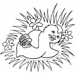 Chick Sleeping Among Flowers coloring page