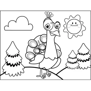 Curious Peacock coloring page