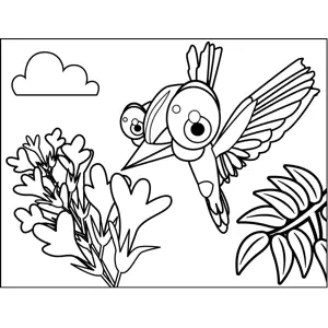 Cute Hummingbird coloring page