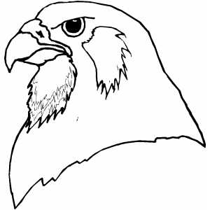 Falcon Head coloring page