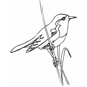 Little Bird On Stalk coloring page