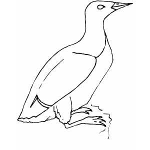 Murlet coloring page