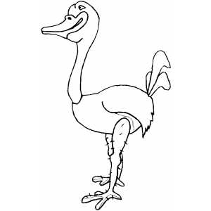 Ostrich Smiling coloring page