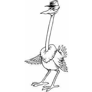 Ostrich With Cap coloring page