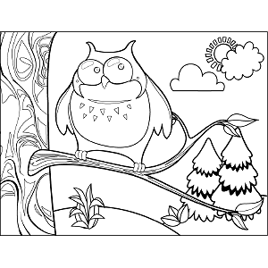 Owl in Tree coloring page