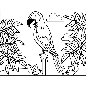 Parrot Perch coloring page