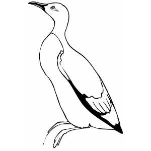 Sitting Murlet coloring page