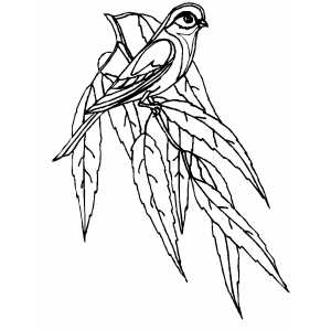 Small Perched Bird coloring page