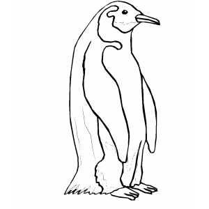 Standing Penguin coloring page