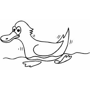 Swimming Duck coloring page