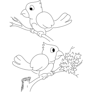 Two Cardinals coloring page