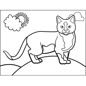 Proud Standing Cat coloring page
