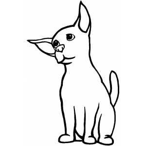 Puzzled Cat coloring page