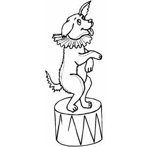 Circus Dog coloring page