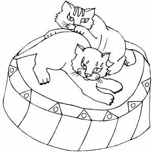 Kittens Playing coloring page
