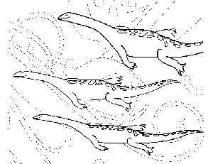 Swimming Dinosaur Coloring Page