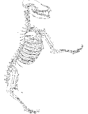 T-Rex Fossil Coloring Page