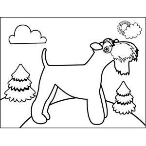 Bearded Dog coloring page