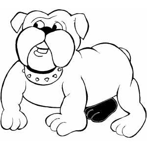 Bulldog Coloring Page