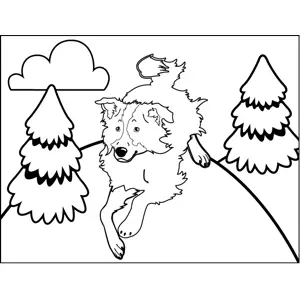 Dog Playing coloring page